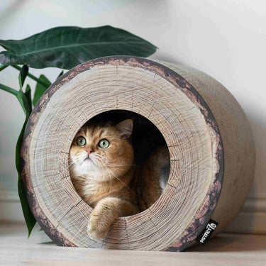 District 70 Trunk Cardboard Cat Scratcher -
